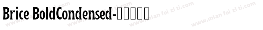Brice BoldCondensed字体转换